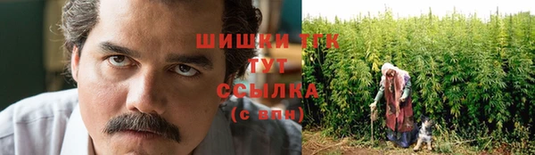 МДПВ Михайлов