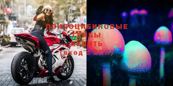 МДПВ Михайлов