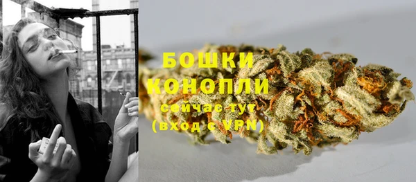 МДПВ Михайлов